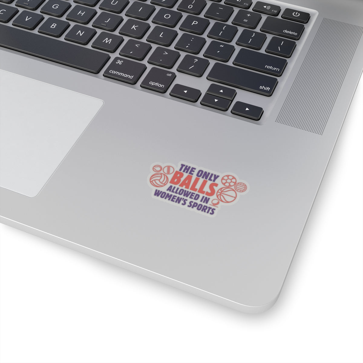 The Only Balls in Women’s Sports | Sticker