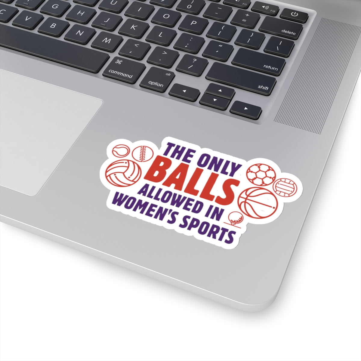 The Only Balls in Women’s Sports | Sticker