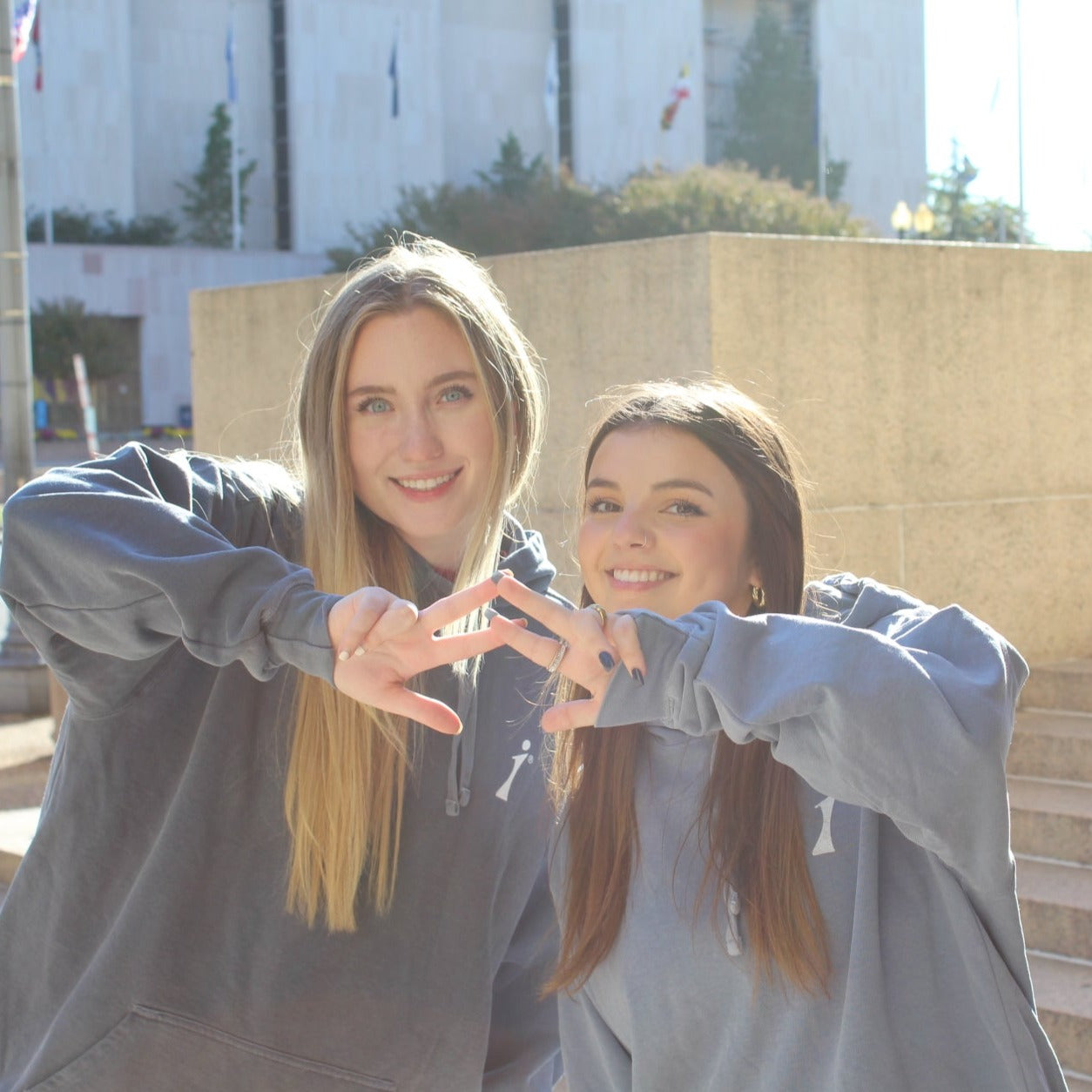 Sororities Are For Sisters | Hoodie