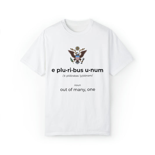 E Pluribus Unum | T-Shirt